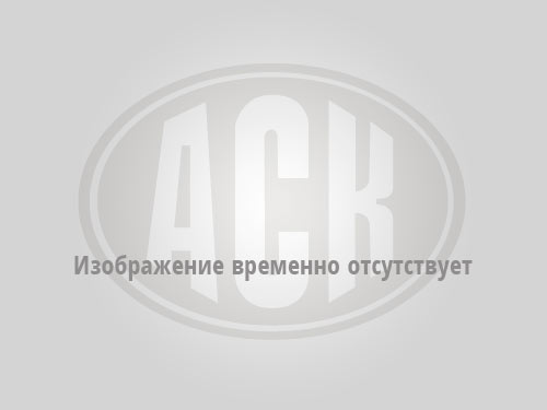 Уплотнение плунжера АСК 31.100.013